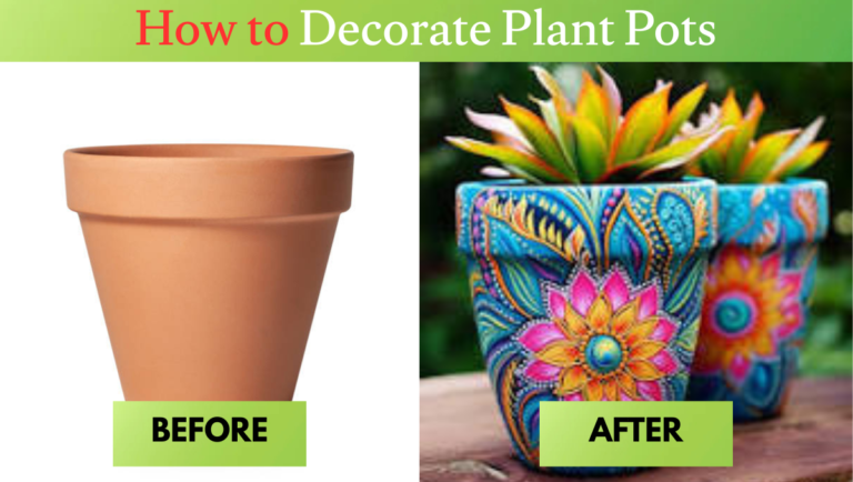 how to decorate plant pots