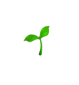 indoor plants growing